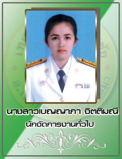 น.ส.เบญญาภา จิตติมณี