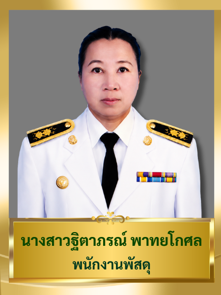นางสาวฐิตาภรณ์ พาทยโกศล